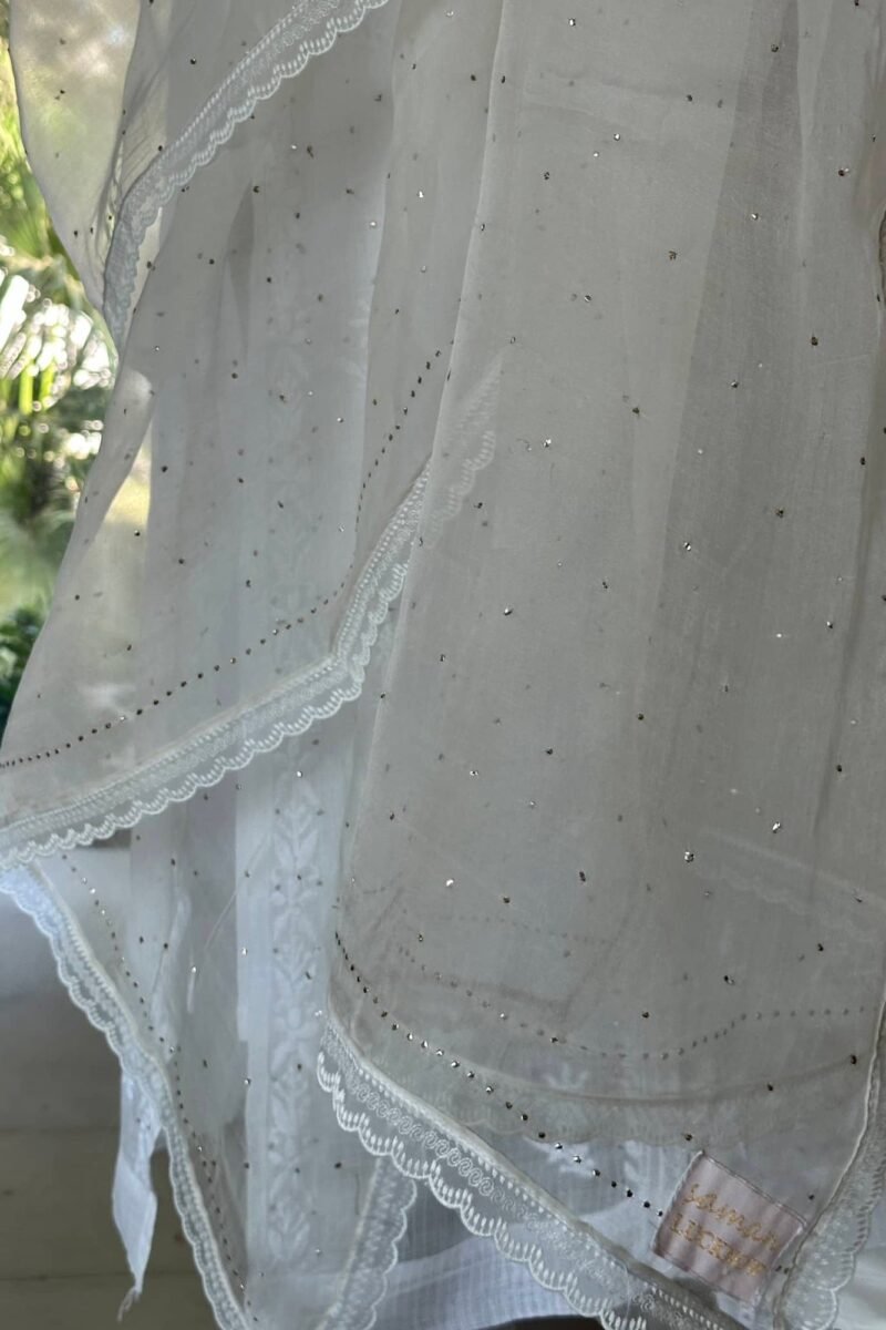 Kamdani Noor Organza Dupattas