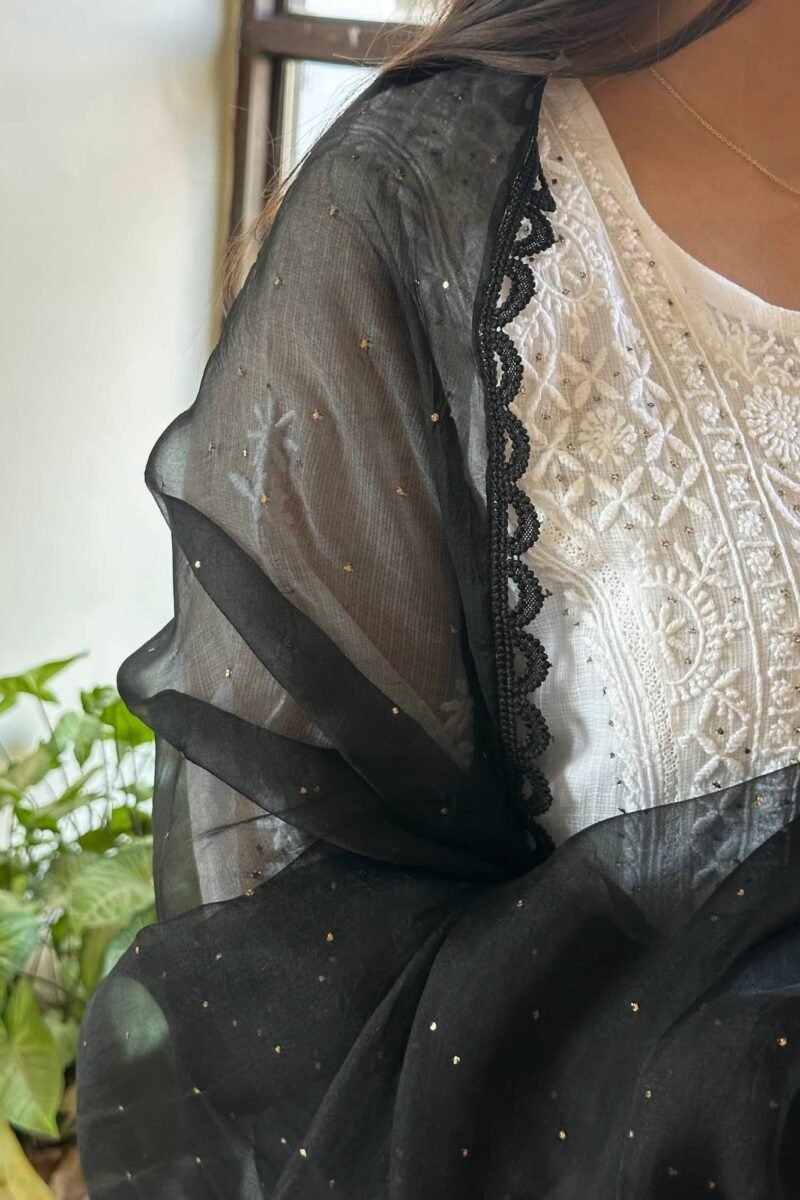Kamdani Noor Organza Dupattas