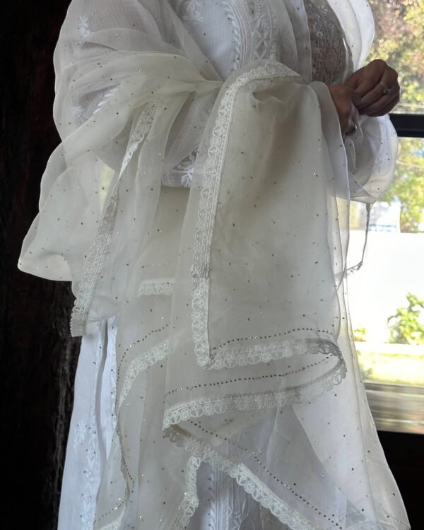 Kamdani Noor Organza Dupattas - Image 6