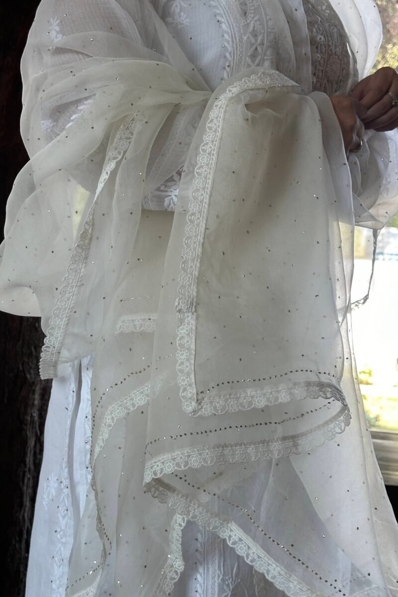 Kamdani Noor Organza Dupattas