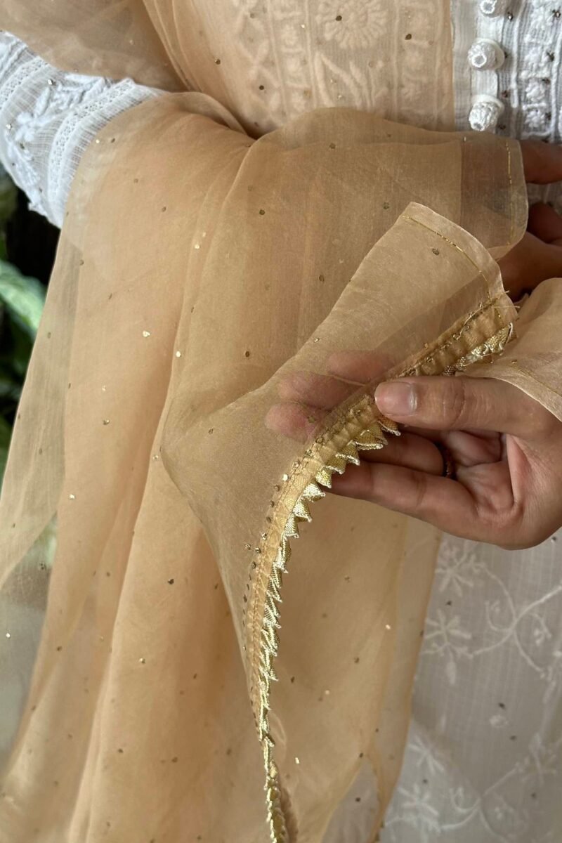 Kamdani Noor Organza Dupattas