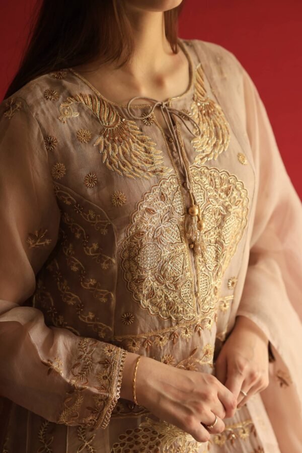 Beige Noor Organza Chikankari Anarkali Set - Image 2
