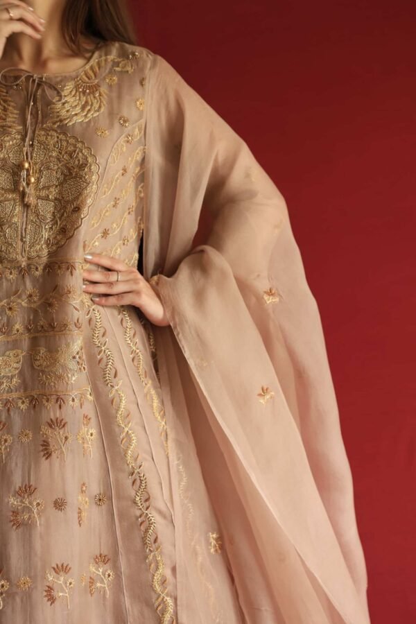 Beige Noor Organza Chikankari Anarkali Set - Image 9