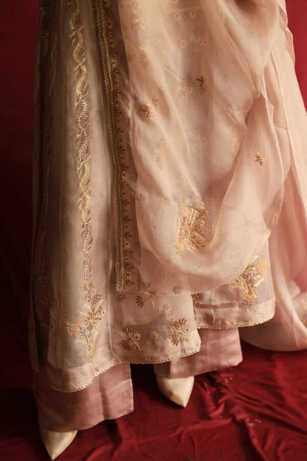 Beige Noor Organza Chikankari Anarkali Set - Image 10