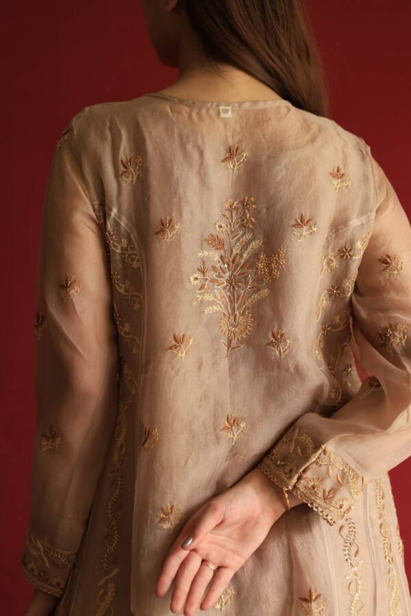 Beige Noor Organza Chikankari Anarkali Set - Image 3