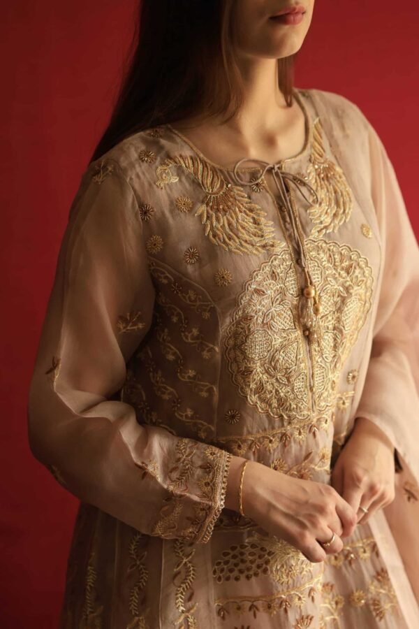 Beige Noor Organza Chikankari Anarkali Set - Image 4