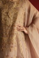 Beige Noor Organza Chikankari Anarkali Set