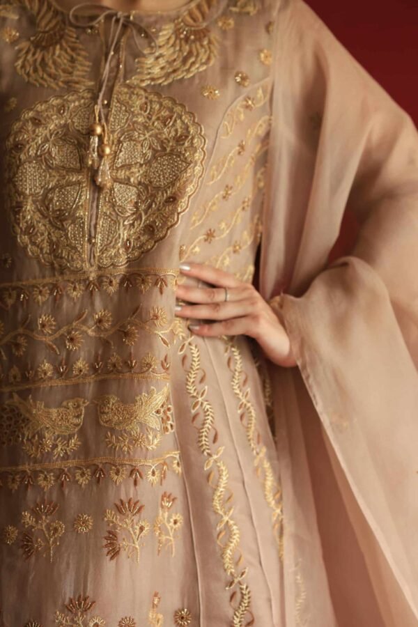 Beige Noor Organza Chikankari Anarkali Set - Image 5
