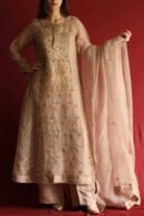 Beige Noor Organza Chikankari Anarkali Set