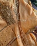 Mal Chanderi Mukaish Silk Dress