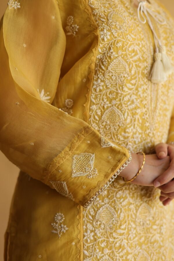 Mustard Yellow Noor Organza Silk Chikankari Straight Cut Kurta Dupatta Set - Image 3