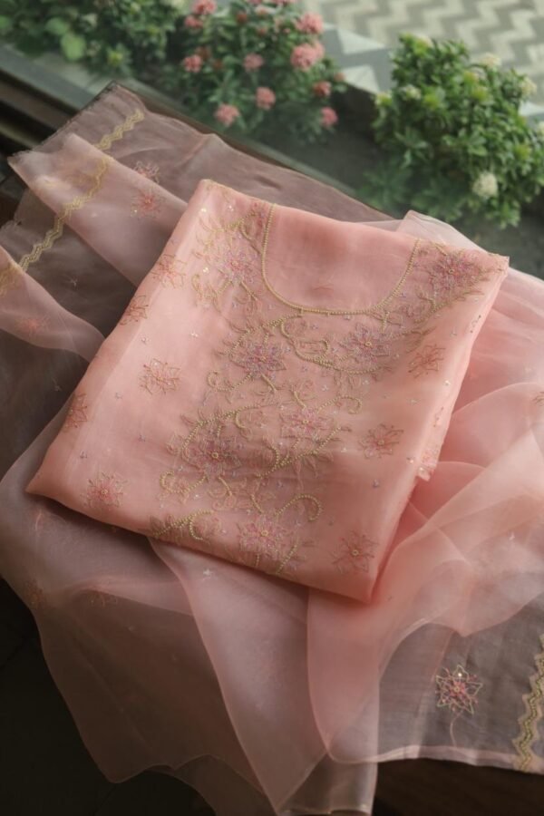Noor Organza Silk Chikankari Fabrics - Image 13