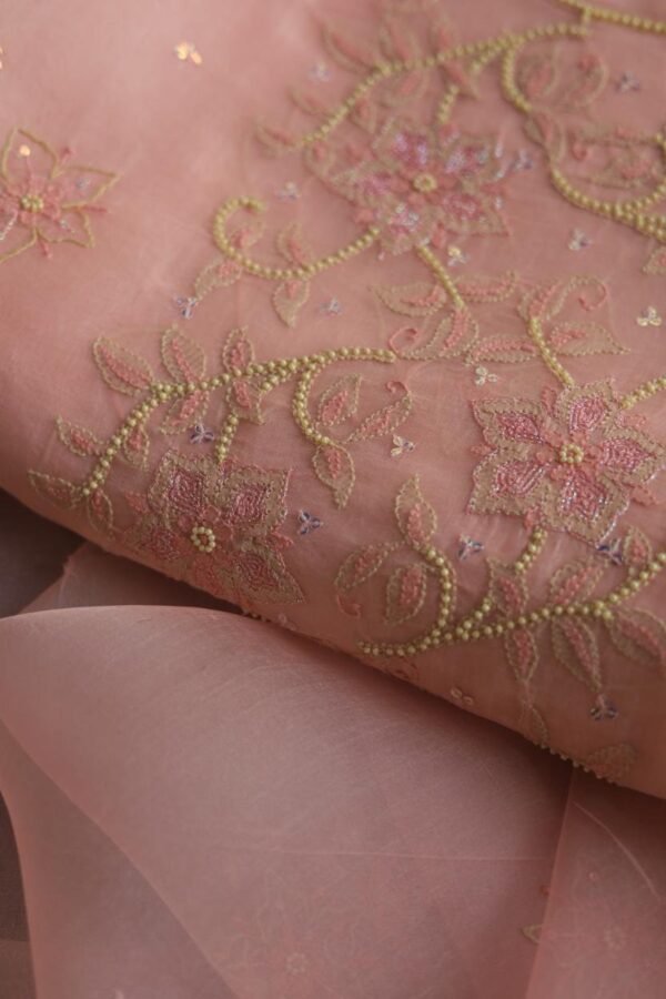 Noor Organza Silk Chikankari Fabrics - Image 6