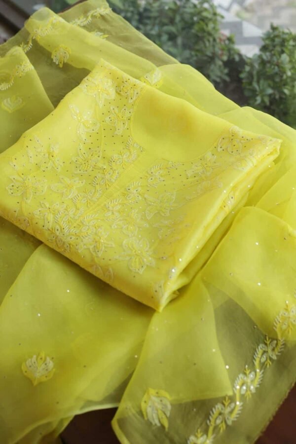 Noor | Organza Silk Fabrics - Image 10