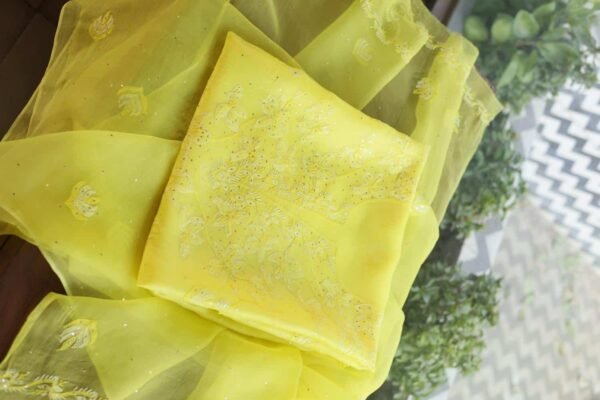 Noor | Organza Silk Fabrics - Image 6