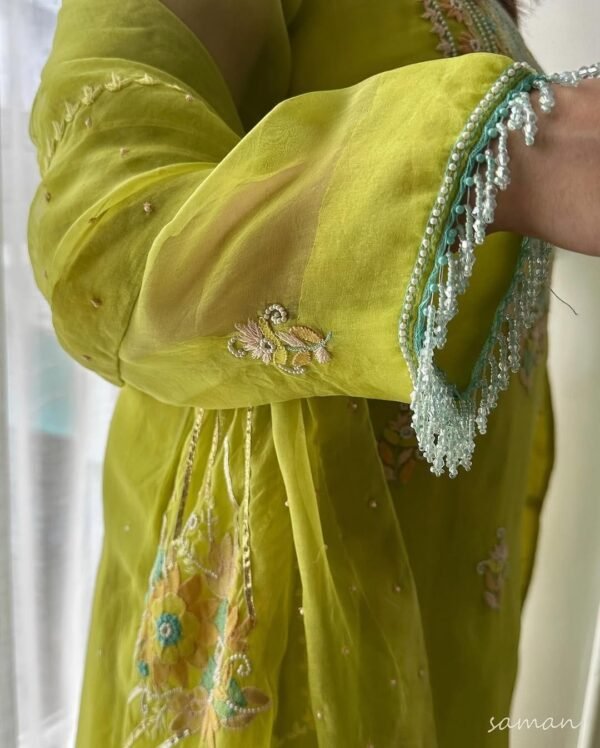 Noor Organza Silk Zardosi Work Fine Resham Chikankari Kurta Set - Image 9