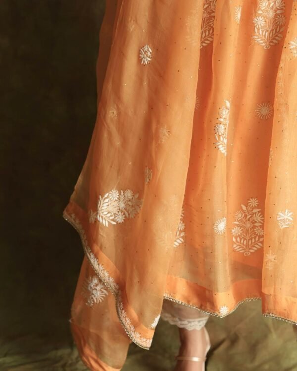 Orange Noor Organza Silk Fine Chikankari with Kamdani Ready to Wear Angarkha - Image 5