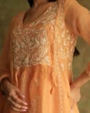 Orange Noor Organza Silk Fine Chikankari with Kamdani Ready to Wear Angarkha