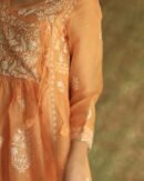 Orange Noor Organza Silk Fine Chikankari with Kamdani Ready to Wear Angarkha