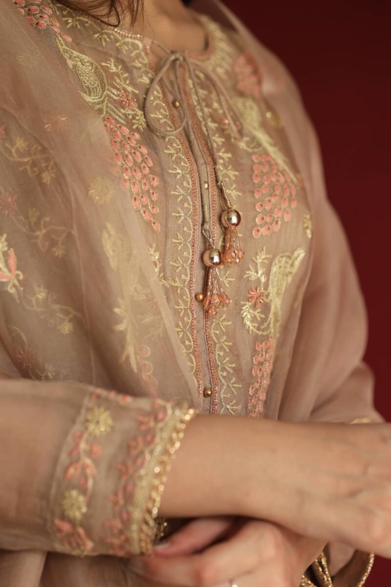 Pastel Beige Noor Organza Chikankari Anarkali With Dupatta