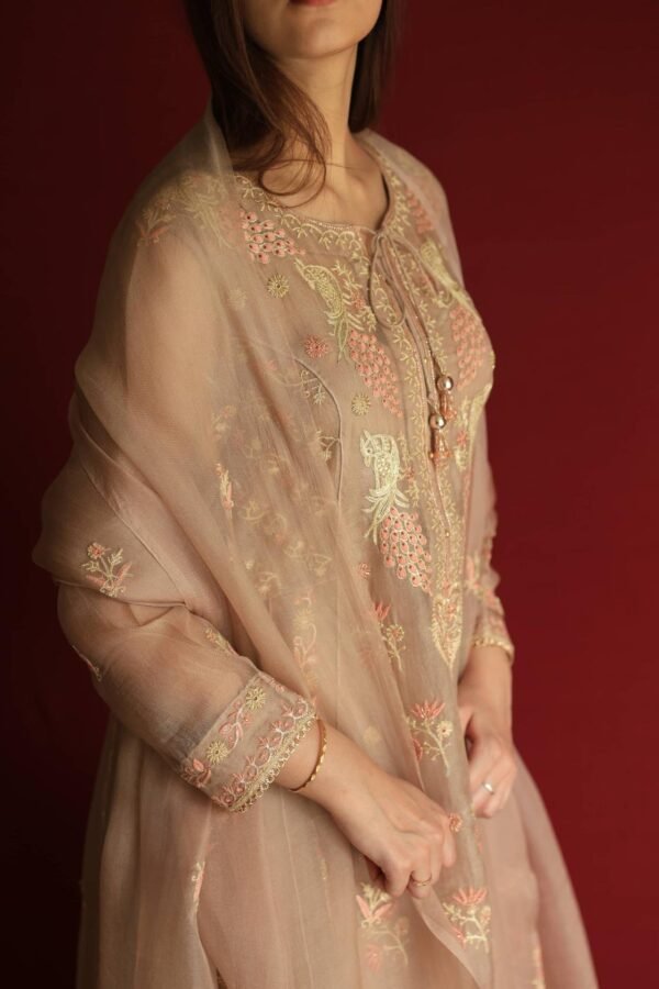 Pastel Beige Noor Organza Chikankari Anarkali With Dupatta - Image 15