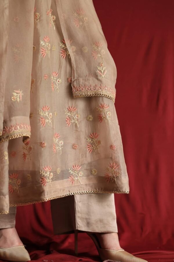 Pastel Beige Noor Organza Chikankari Anarkali With Dupatta - Image 3