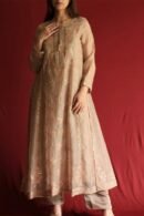 Pastel Beige Noor Organza Chikankari Anarkali With Dupatta