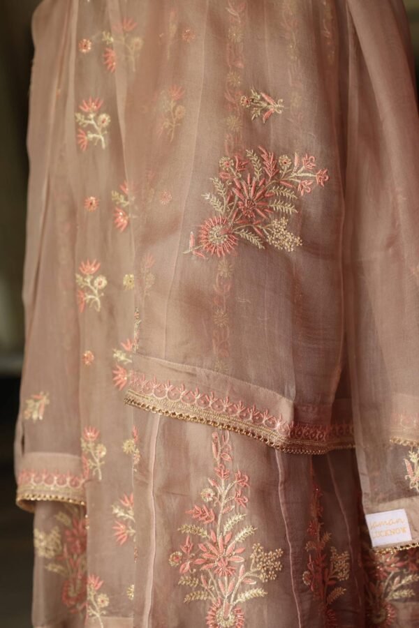 Pastel Beige Noor Organza Chikankari Anarkali With Dupatta - Image 6