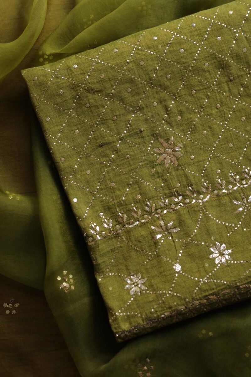 Roheen Tissue Silk Chikankari Fabrics