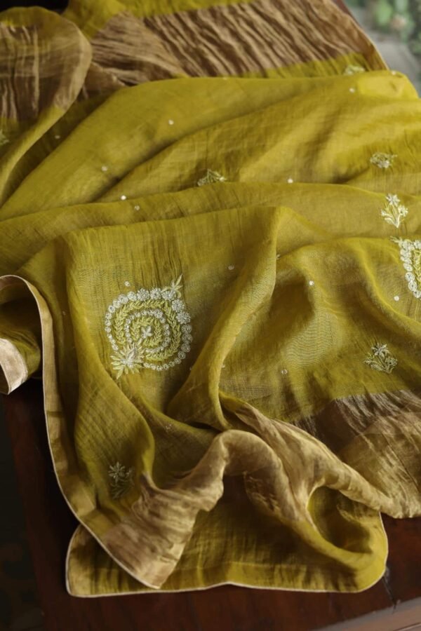 Roheen Tissue Silk Chikankari Fabrics - Image 14