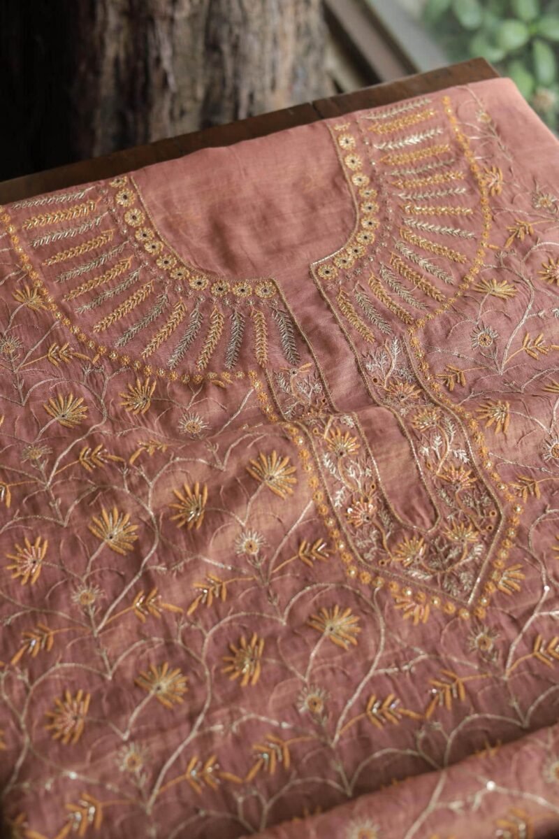 Roheen Tissue Silk Chikankari Fabrics