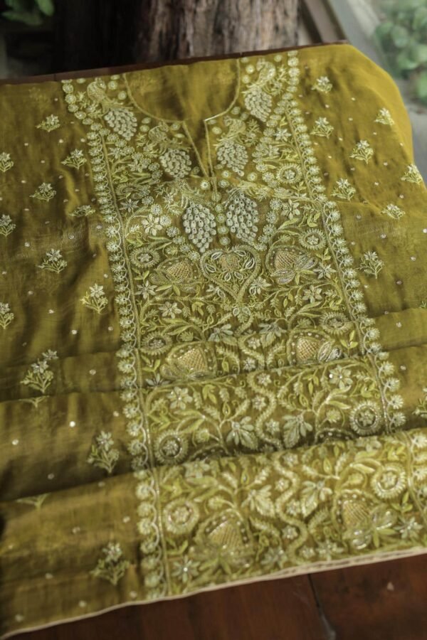 Roheen Tissue Silk Chikankari Fabrics - Image 9