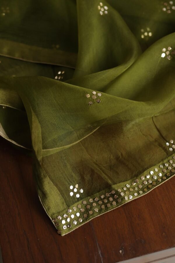 Roheen Tissue Silk Chikankari Fabrics - Image 8