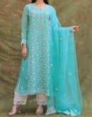 Sea Green Noor Organza Silk Chikankari A Line Kurta Dupatta Set