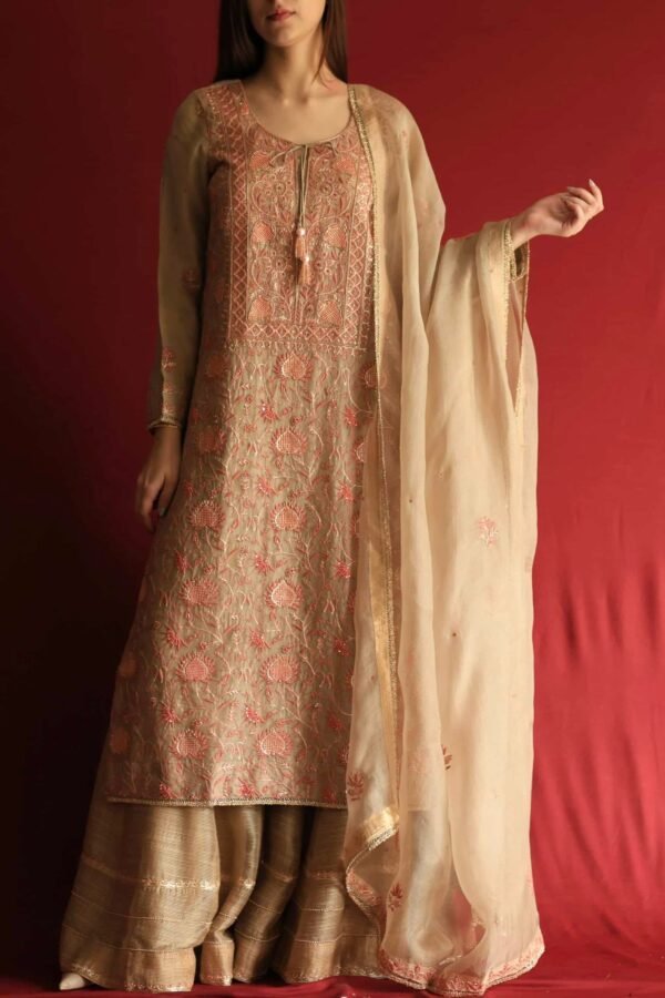 Stripe Organza Chikankari Sharara Set - Image 11