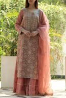 Coral Peach Stripe Organza Chikankari Sharara Set
