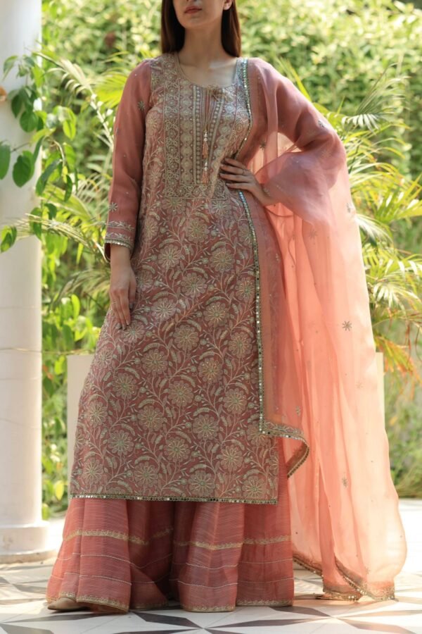 Coral Peach Stripe Organza Chikankari Sharara Set - Image 4