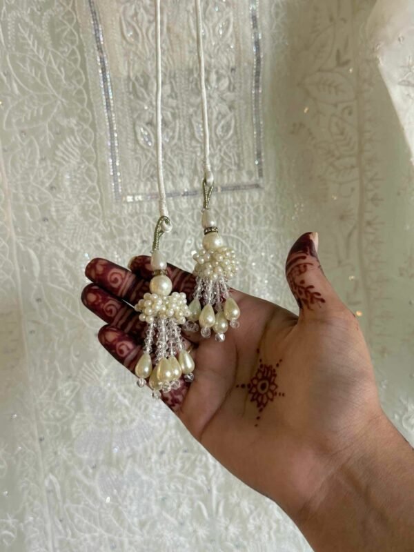 Swan White | Noor Organza Silk Chikankari Straight Cut Kurta Dupatta Set - Image 6