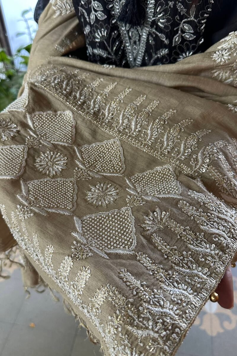 Natural Shade Fine Chikankari Ari Tissue Silk Dupatta