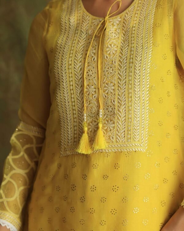 Yellow Mukaish Kamdani Noor Organza Chikankari Kurta Set - Image 12