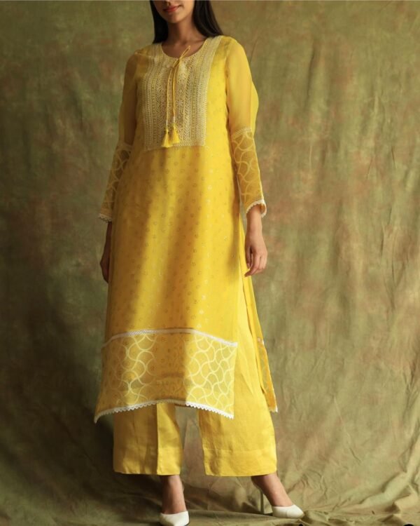 Yellow Mukaish Kamdani Noor Organza Chikankari Kurta Set - Image 13