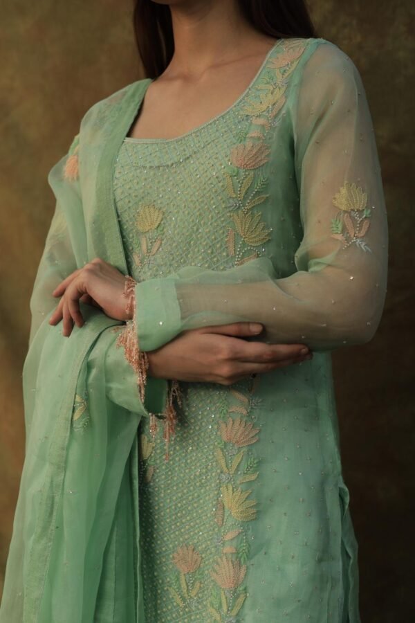 Sea Green Noor Organza Silk Zardosi Work Fine Resham Chikankari Kurta Set - Image 7