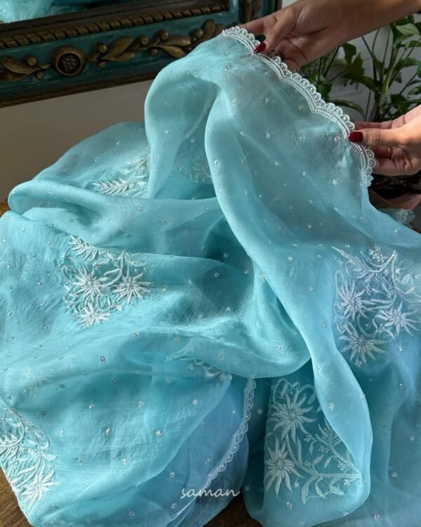 Ice Blue Noor Organza Cutwork Chikankari Saree - Image 4