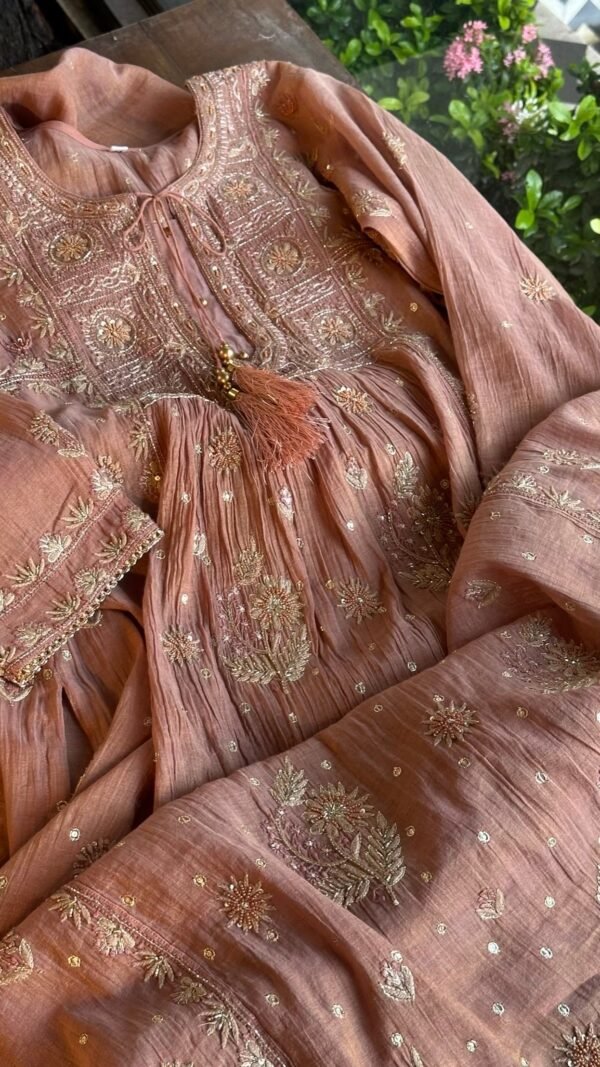 Brick Rose shade Tissue Silk Chikankari Anagarkha - Image 6