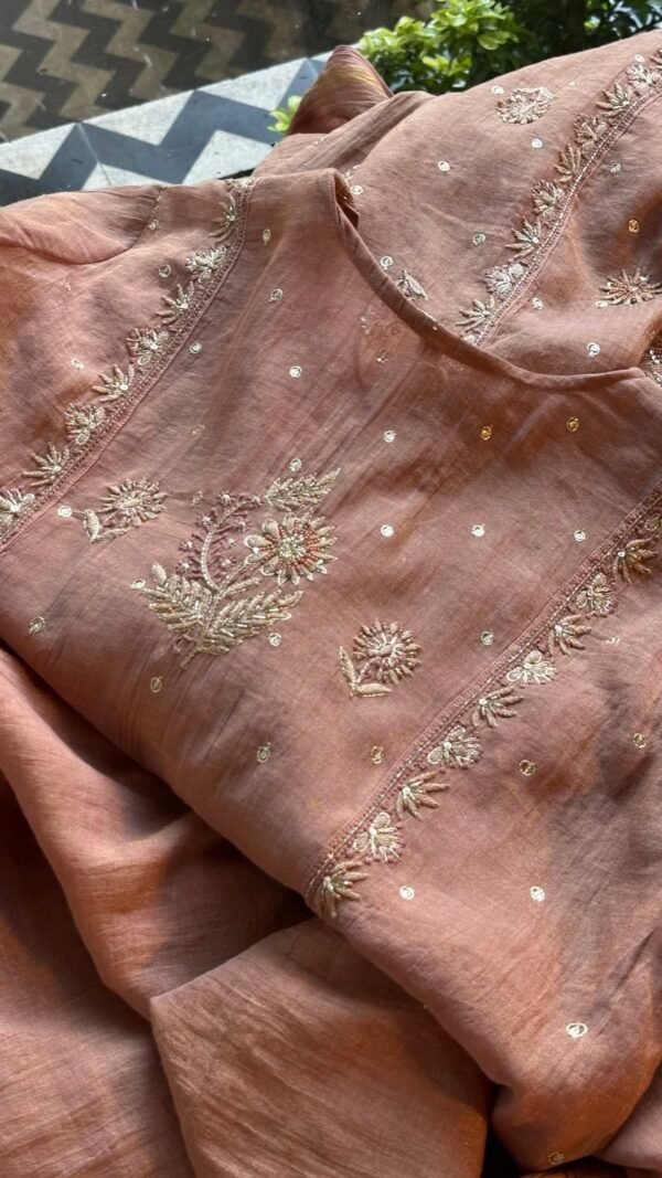 Brick Rose shade Tissue Silk Chikankari Anagarkha - Image 4