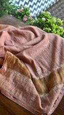 Brick Rose shade Tissue Silk Chikankari Anagarkha