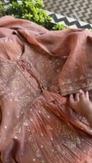 Brick Rose shade Tissue Silk Chikankari Anagarkha