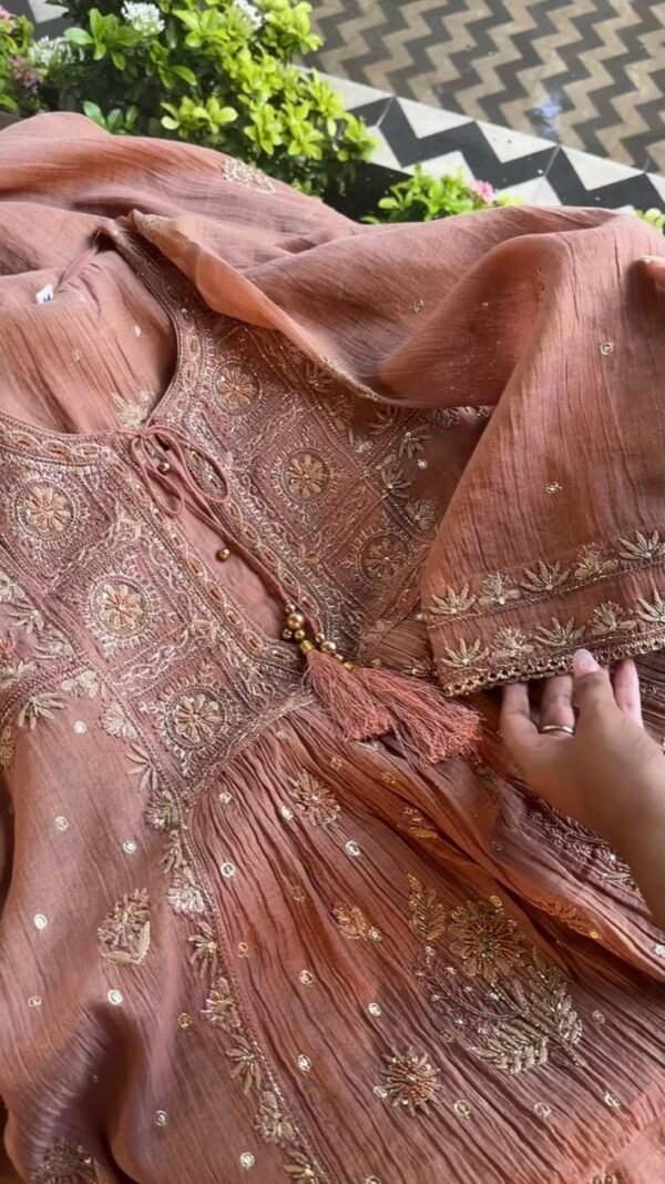Brick Rose shade Tissue Silk Chikankari Anagarkha - Image 3
