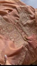 Brick Rose shade Tissue Silk Chikankari Anagarkha