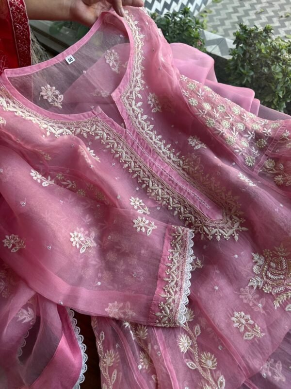 Candy Pink | Noor Organza Chikankari Anarkali - Image 7